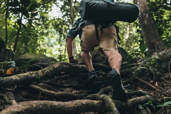 Sırt çantalı yürüyüşçüler ormanda çekim yaparken kamera kullanırlar. yürüyüş ve macera konsepti.