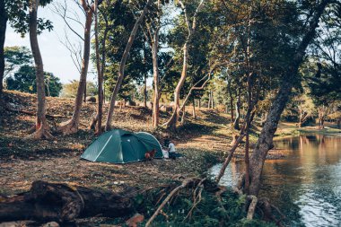 Ormandaki çimlerin üzerinde yeşil çadır Arkadaki manzara sabahları dağdır. Kamp, seyahat ve tatil konsepti.