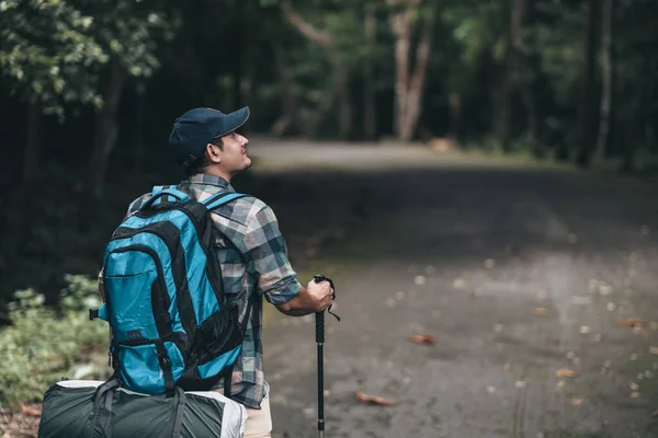 Turisté Používají Trekking Tyč Batohy Silnici Lese Turistický Dobrodružný Koncept — Stock fotografie