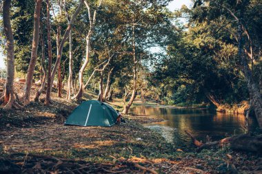 Ormandaki çimlerin üzerinde yeşil çadır Arkadaki manzara sabahları dağdır. Kamp, seyahat ve tatil konsepti.