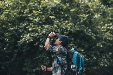 Yürüyüşçüler hayvanları görmek için dürbün kullanır ve ormanda sırt çantalı manzarayı görürler. yürüyüş ve macera konsepti.