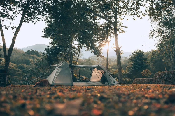 Gray Tent Grass Forest View Mountain Morning Camping Travel Holiday — Stock Photo, Image