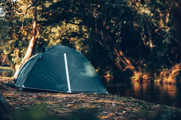 森林中的草地上有绿色的帐篷 后面的景色是早上的山 旅行和假日概念 — 图库照片