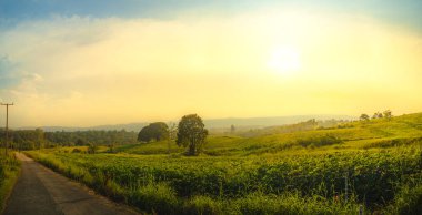 Gün doğumunda dağda manyok ve mısır çiftliği. Tarım, Tarım ve Hasat kavramı.
