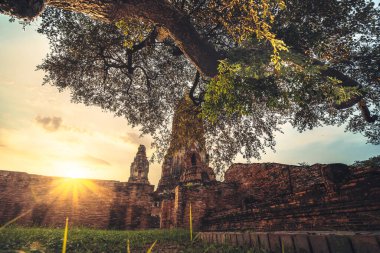 Wat Phra Ram Ayutthaya 'daki ünlü tapınak Ayutthaya' da gün batımında Ayutthaya Tarihi Parkı. 