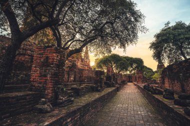 Wat Phra Ram Ayutthaya 'daki ünlü tapınak Ayutthaya' da gün batımında Ayutthaya Tarihi Parkı. 