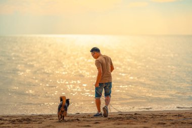 Sahibi ile sahilde koşan bir köpek. köpek, hayvan, aile kavramı.