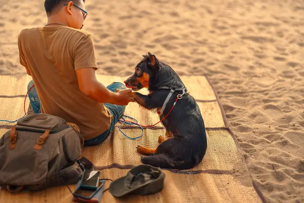 A man owns a dog sits on a mat on the beach and playing with his dog. Animal family concept.