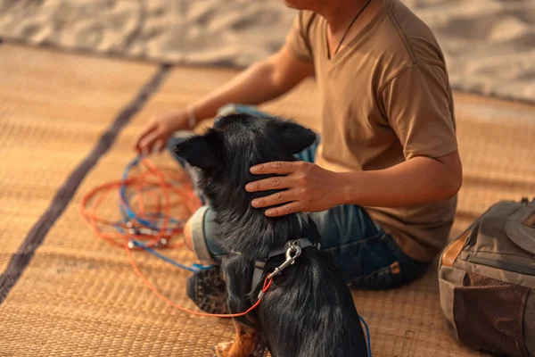 A man owns a dog sits and pet his dog on a mat on the beach and playing with his dog. Animal family concept.