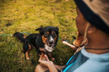 Çimlerin üzerinde köpekle oynayan bir adam. Hayvan, Aile, Arkadaşlık konsepti.