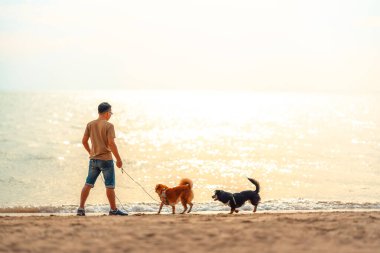 Sahibi ile sahilde yürüyen bir köpek. köpek, hayvan, aile kavramı.