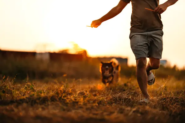 A man running and dog happy run after him and need  dog treats on  his owner\'s hand on the meadow during sunset. Pet and family concept.
