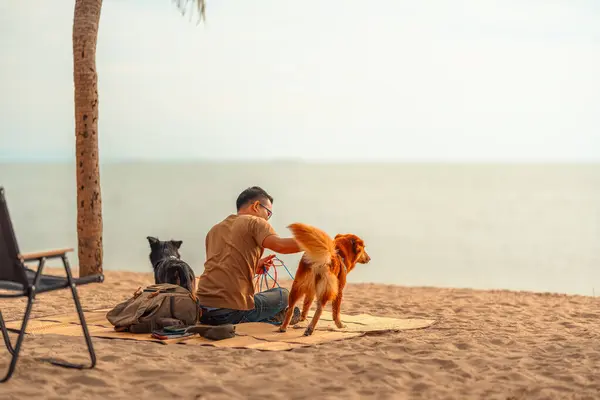 A man owns a dog sits on a mat on the beach and playing with his dog. Animal family concept.