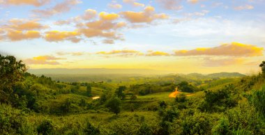 Gün doğumunda dağda manyok ve mısır çiftliği. Tarım, Tarım ve Hasat kavramı.