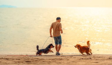 Sahibi ile sahilde koşan bir köpek. köpek, hayvan, aile kavramı.