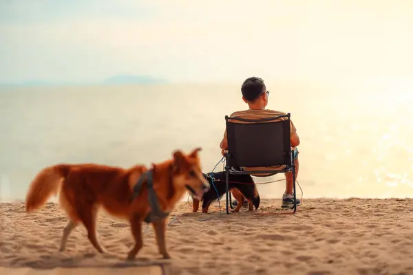 Proprietario Del Cane Seduto Una Sedia Sulla Spiaggia Vedere Tramonto — Foto Stock