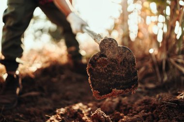 Bahçıvanlar bölgeyi sebze ekmeye hazırlamak için toprağı kazmak için çapa kullanırlar..