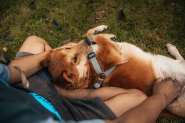 Çimlerin üzerinde köpekle oynayan bir adam. Hayvan, Aile, Arkadaşlık konsepti.