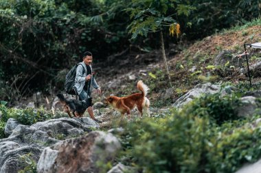 Yürüyüşçüler derede köpekle birlikte kayaların üzerinde yürürler şelaleden onun çadırına doğru akar..