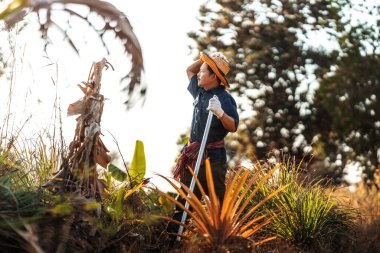 Bir çiftçi elinde hasır bir şapkayla durup pirinç tarlalarına bakar..