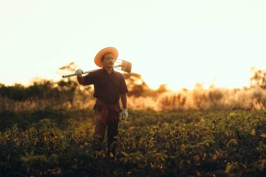 Cassava çiftçisi bir çapa tutuyor ve gün batımında tarlasının ortasında duruyor..