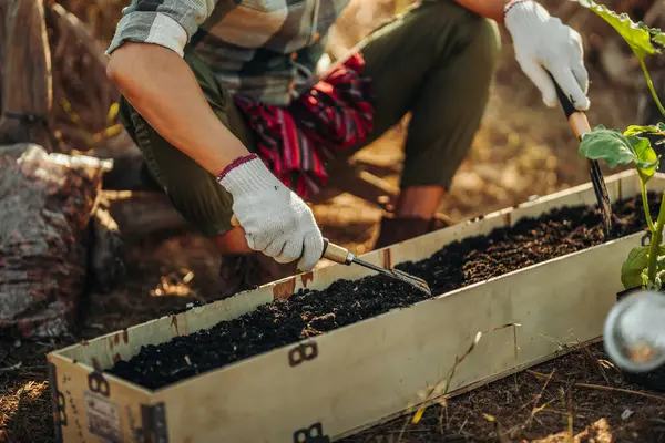 stock image Gardeners use rakes to spread soil in long pots before planting vegetables.