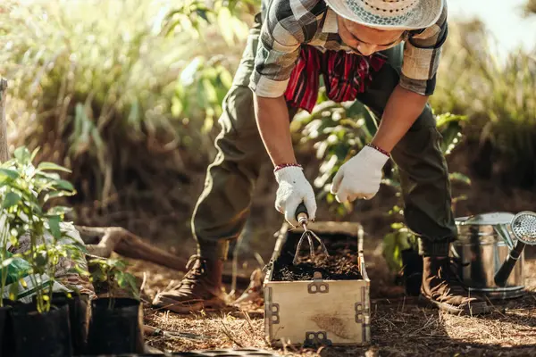 Stock image Gardeners use rakes to spread soil in long pots before planting vegetables.