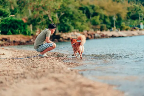 Cane Che Gioca Sulla Spiaggia Cane Animale Domestico Concetto Famiglia — Foto Stock