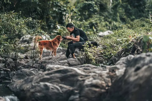 Туристи Використовують Бінокль Щоб Побачити Тварин Подивитися Пейзаж Рюкзаками Лісі Стокове Зображення