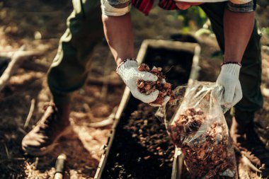 Bahçıvanlar sebze ekmeden önce toprak ve çömlek için hindistan cevizi kabukları kullanıyorlar..