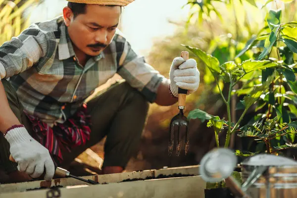 Les Agriculteurs Utilisent Des Pelles Pour Préparer Sol Plantation Légumes Photo De Stock