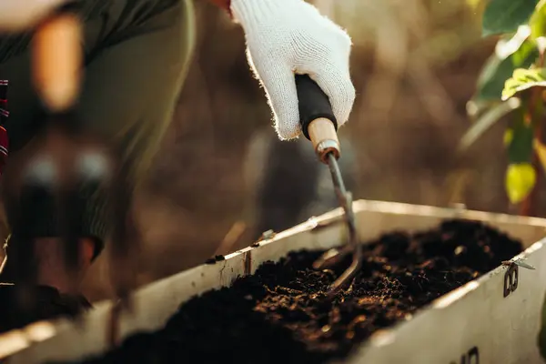 Les Jardiniers Utilisent Des Râteaux Pour Répandre Sol Dans Longs Image En Vente