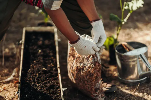 Bahçıvanlar Sebze Ekmeden Önce Toprak Çömlek Için Hindistan Cevizi Kabukları Stok Resim
