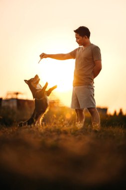 Köpek mutlu bir şekilde atlar ve gün batımında sahibinin elinden köpek maması alır. Hayvan ailesi, yiyecek, atıştırmalık konsepti
