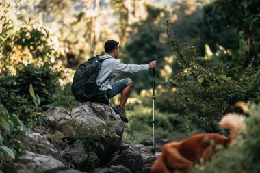 Ormandaki şelaleden akan derede dinlenmek için kayaların üzerinde oturan yürüyüşçüler..