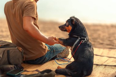 Bir adamın sahil kenarındaki bir paspasda oturan ve köpeğiyle oynayan bir köpeği var. Hayvan aile kavramı.