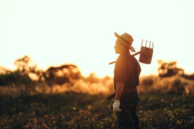 Cassava çiftçisi bir çapa tutuyor ve gün batımında tarlasının ortasında duruyor..