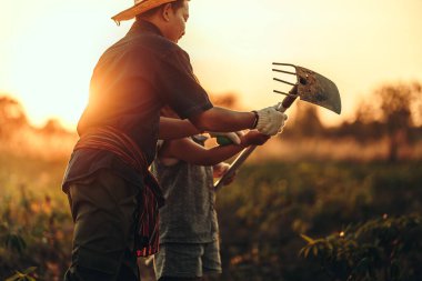 Cassava çiftçisi torununa gün batımında tarlasının ortasında toprak kazmayı öğretir..