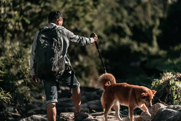 Pendaki Berjalan Atas Batu Dengan Anjing Sungai Yang Mengalir Dari Stok Foto