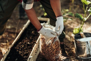 Bahçıvanlar sebze ekmeden önce toprak ve çömlek için hindistan cevizi kabukları kullanıyorlar..