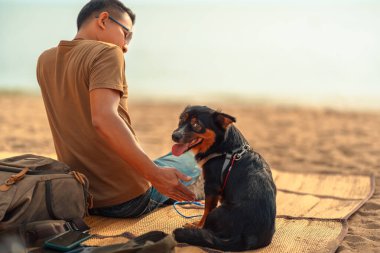 Bir adamın sahil kenarındaki bir paspasda oturan ve köpeğiyle oynayan bir köpeği var. Hayvan aile kavramı.