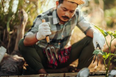 Çiftçiler toprağı sebze ekmeye hazırlamak için kürek kullanırlar..