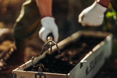 Bahçıvanlar sebze ekmeden önce uzun saksılara toprak yaymak için tırmık kullanırlar..