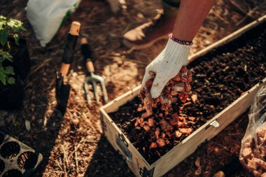 Bahçıvanlar sebze ekmeden önce toprak ve çömlek için hindistan cevizi kabukları kullanıyorlar..