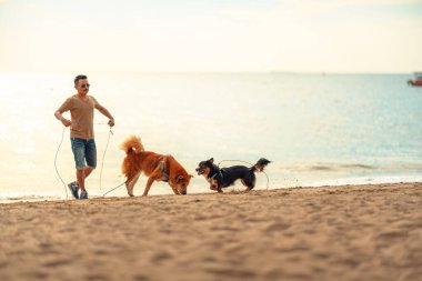 Sahibi ile sahilde yürüyen bir köpek. köpek, hayvan, aile kavramı.