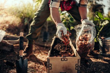 Bahçıvanlar sebze ekmeden önce toprak ve çömlek için hindistan cevizi kabukları kullanıyorlar..