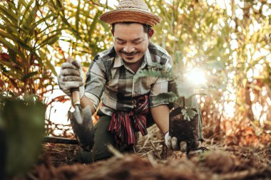 A gardener is planting a tree in the ground in the garden. clipart