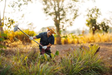 Bahçıvanlar sebze ekmeden önce topraktan yabani otları temizlemek için çapa kullanırlar..