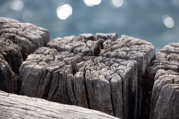 Wooden Texture Old Wood Beach Wooden Texture Surface Pier Wooden — Stock Photo, Image
