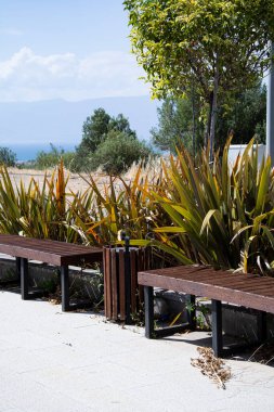 Tahta bank ve deniz manzaralı bir parkın terasında tropikal bitkiler. Eğlence parkında peyzaj tasarımı.
